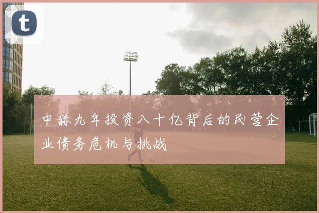 中赫九年投资八十亿背后的民营企业债务危机与挑战
