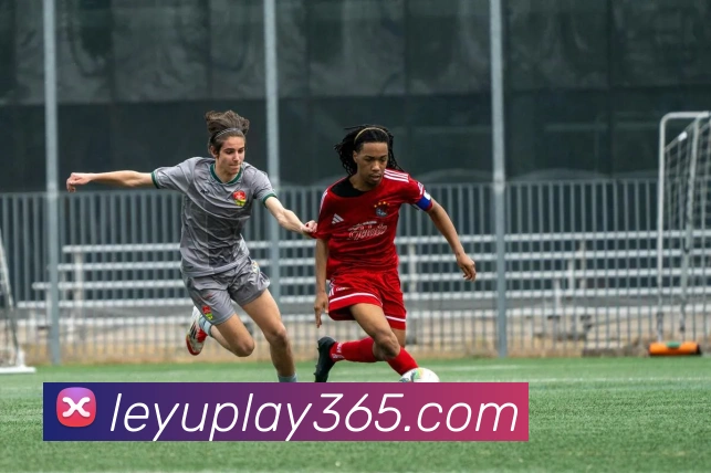 乐鱼体育APP 封面图